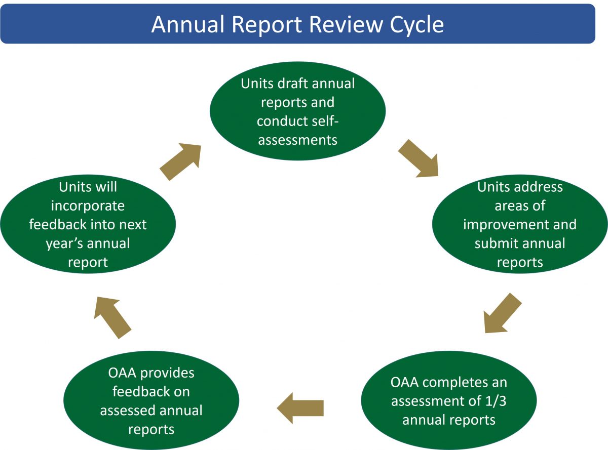 Annual report review cycle